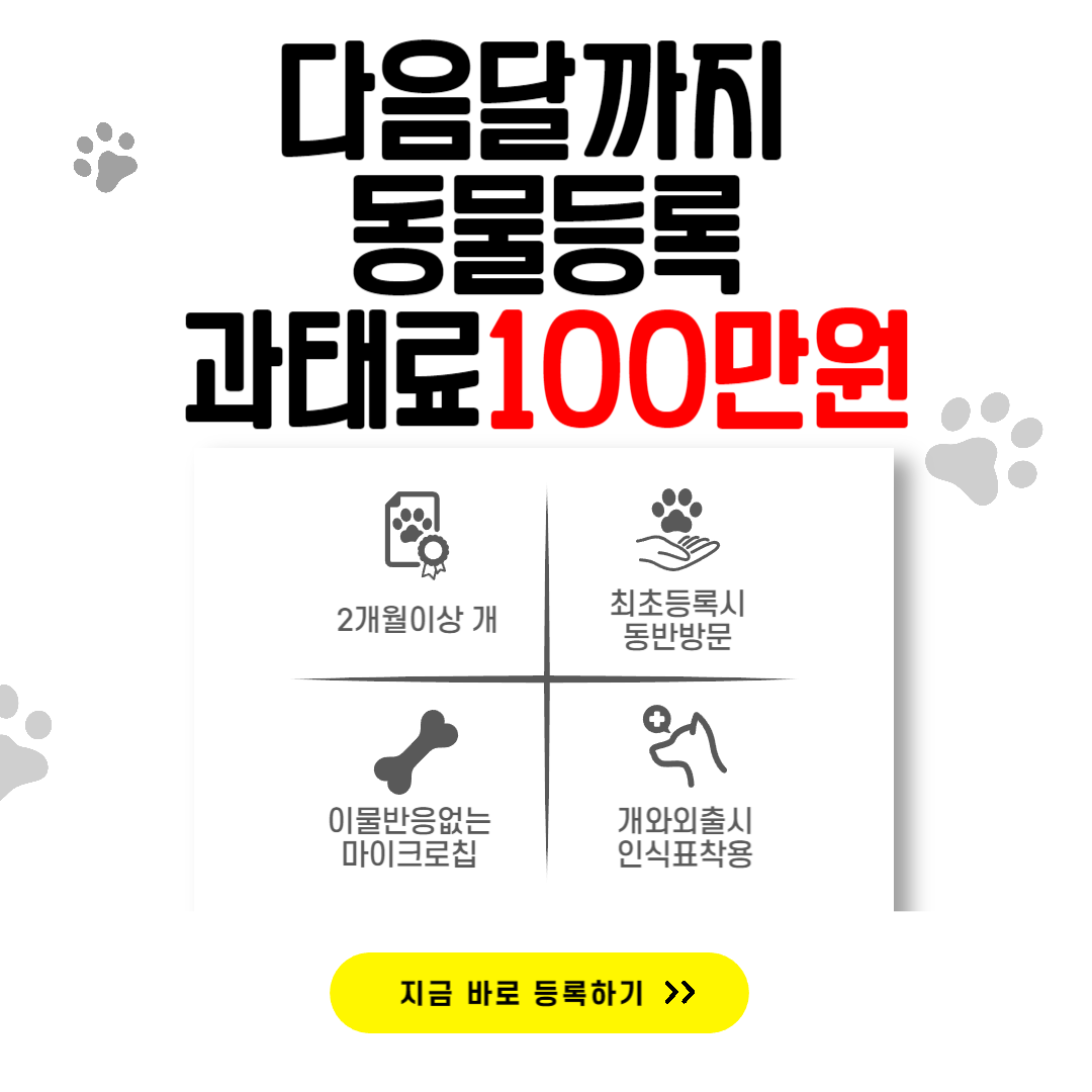 동물등록 과태료 100만원